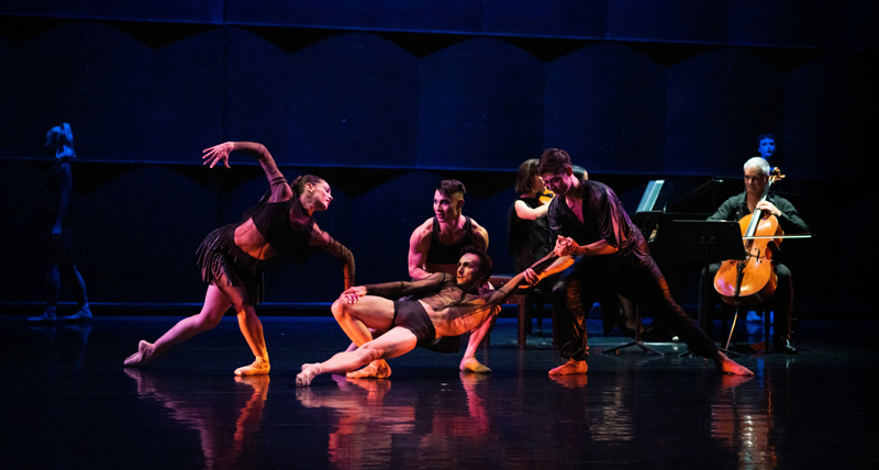 BalletCollective Aotearoa: SUBTLE DANCES by Loughlan Prior. Image: John McDermott