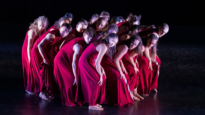 Review New Zealand School Of Dance Graduation Season 2019 Danz We're a blog dedicated to helping emerging and aspiring dance professionals thrive in their. https danz org nz review 20new 20zealand 20school 20of 20dance 20graduation 20season 202019