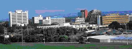 manukau council counties city auckland ethnic zealand nz email